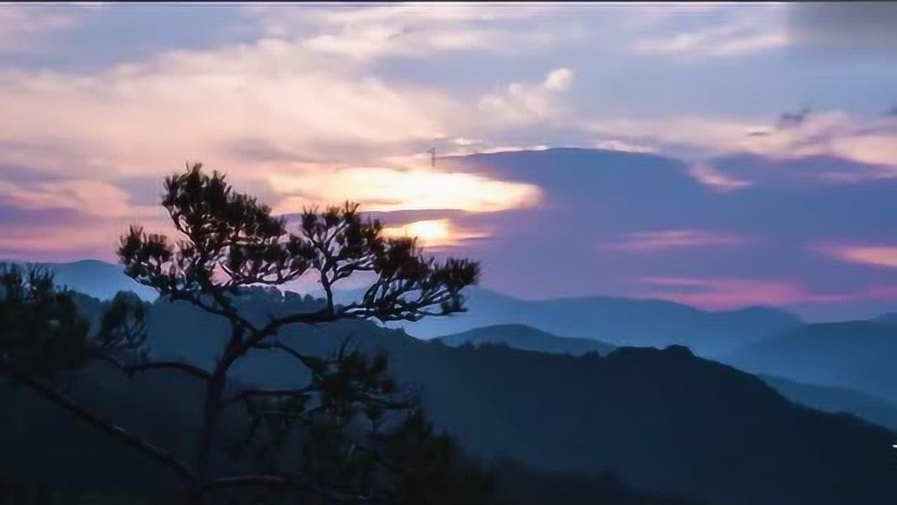 探讨人生百态,畅聊天涯问答如何看待世界首例猪肾脏移植到人类内,这项技术有怎样的价值?